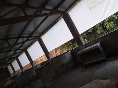 养殖场卷帘系列